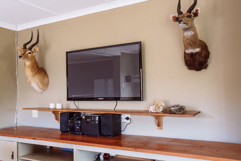 Entertainment Bar Area
